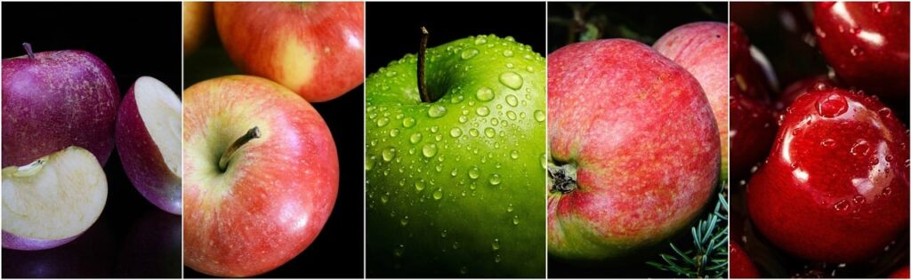 The Best Diet for Weight Loss Explained