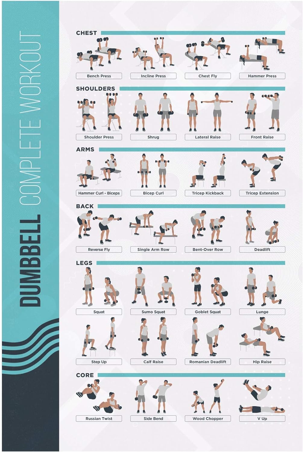 FitMate Dumbbell Workout Poster Review