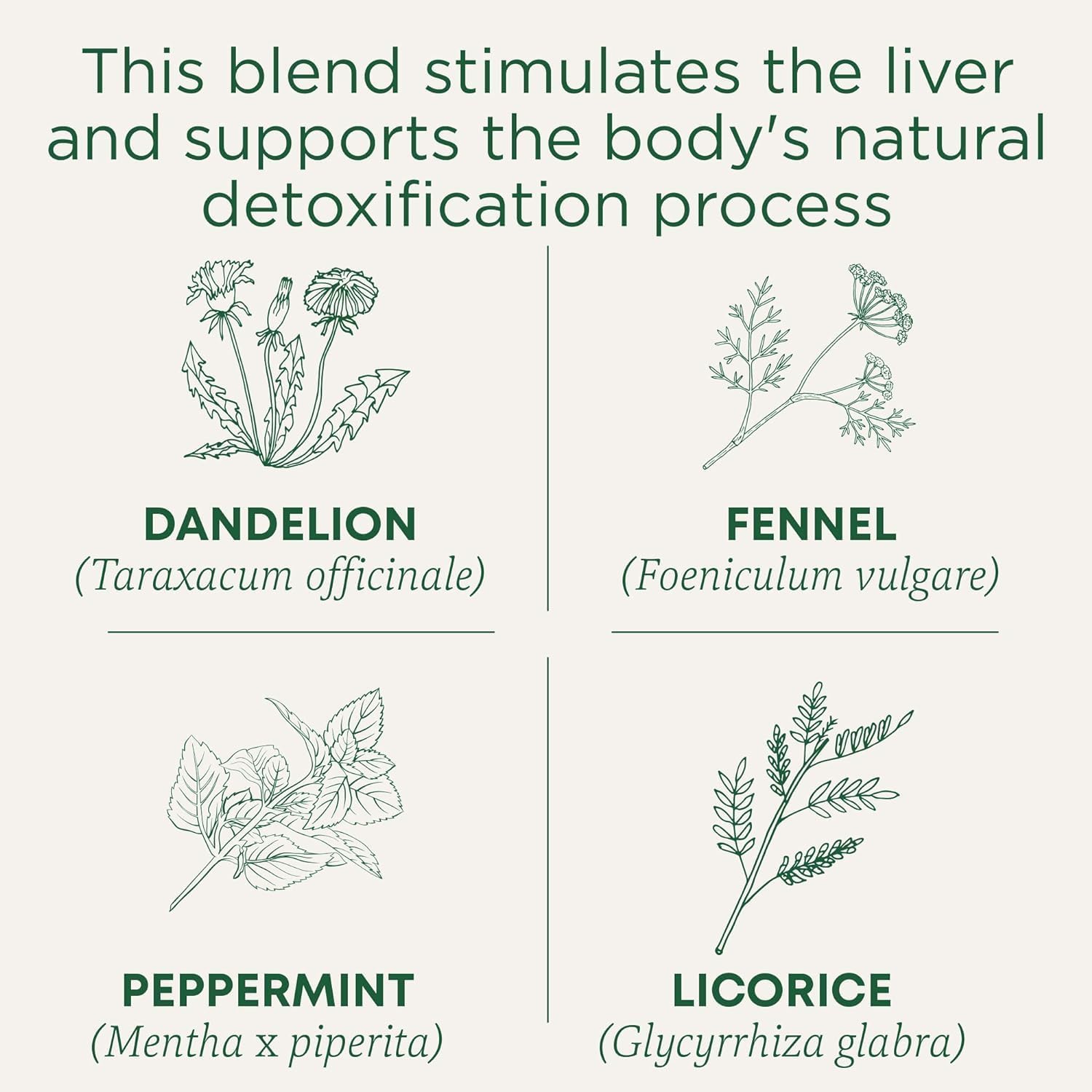 Traditional Medicinals Detox Tea Review